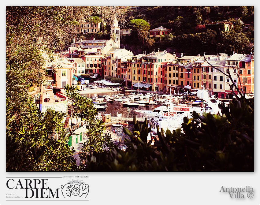 PORTOFINO DALL ALTO.jpg